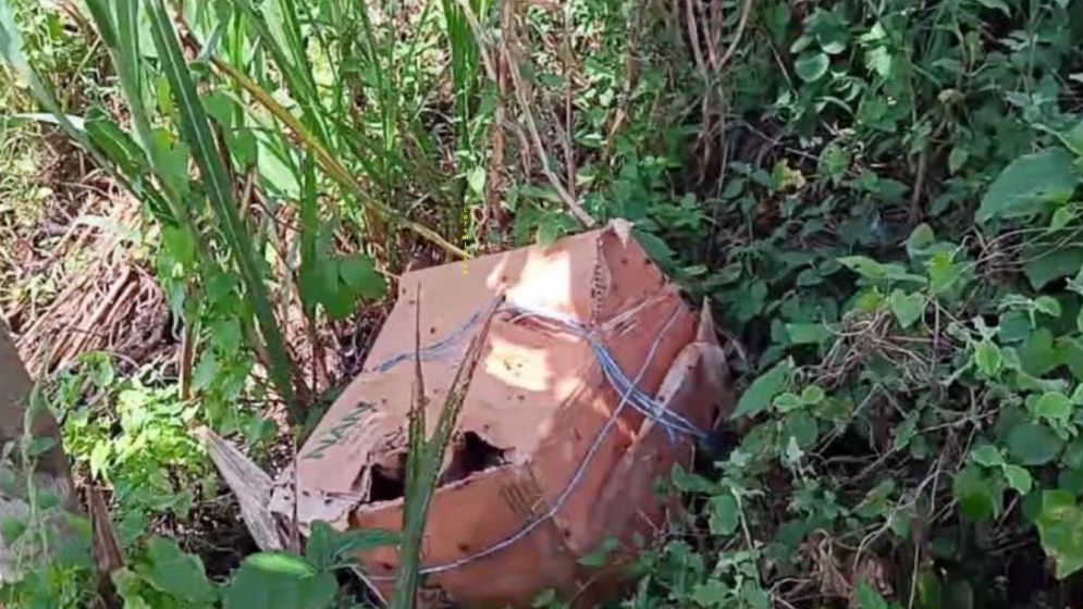 ফরিদপুরে কার্টনে মিলল ৬ টুকরো মরদেহ