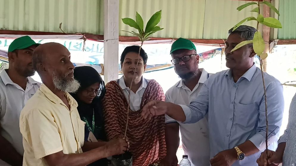 বজ্রপাতের ঝুঁকি কমাতে ফরিদপুরের চরাঞ্চলে ৫০০০ তালবীজ বিতরণ