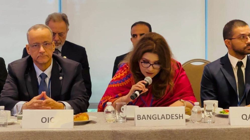 মধ্যস্থতায় এআই ব্যবহারে সুরক্ষার আহ্বান শামা ওবায়েদের