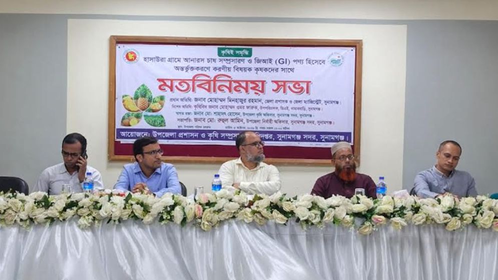 আনারসকে জিআই পণ্য হিসেবে অন্তর্ভুক্তকরণ নিয়ে সুনামগঞ্জে মতবিনিময়