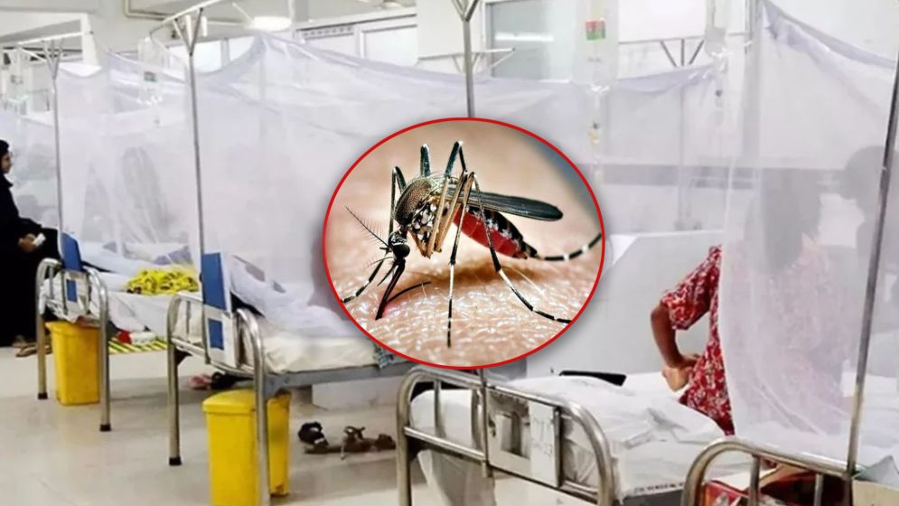 ডেঙ্গুতে একদিনে আরো ৯ জনের মৃত্যু, হাসপাতালে ভর্তি ১৯৫৪