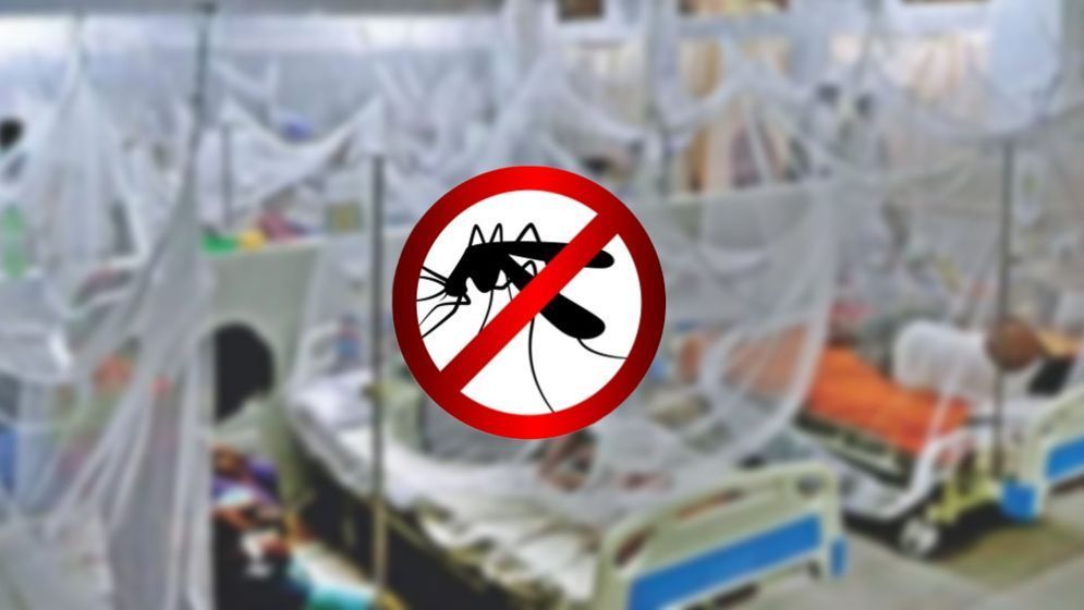 ডেঙ্গুতে আরো ১০ মৃত্যু, হাসপাতালে ভর্তি ১,৯৪৩