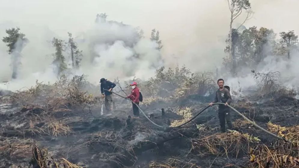 ইন্দোনেশিয়ায় দাবানল নেভাতে গিয়ে ৪ জনের মৃত্যু