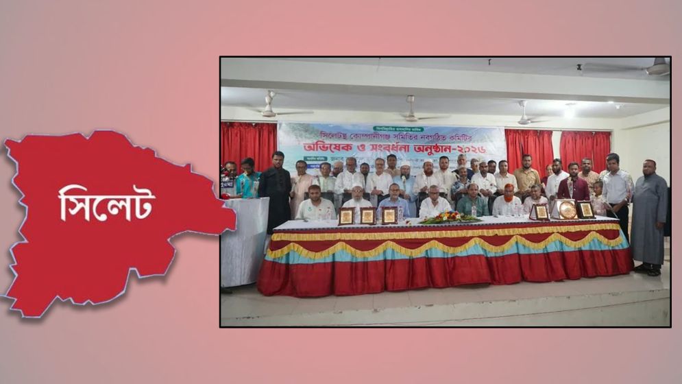 আঞ্চলিক উন্নয়নে সরকার আন্তরিক: আরিফুল হক