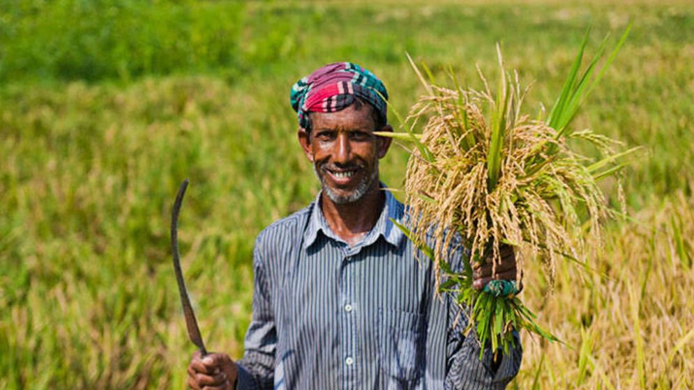 সুদসহ কৃষিঋণ মওকুফে স্বস্তি পেলেন ১৪ লাখ কৃষক